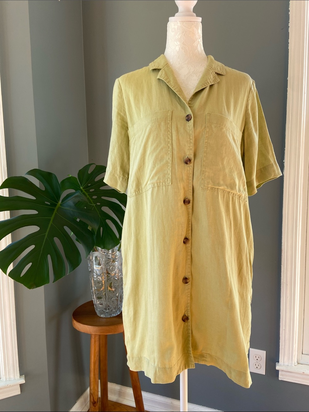 Everlane Sage Green button down shirtdress